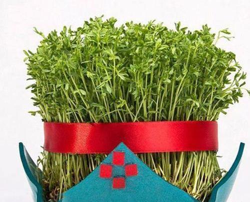 عکس پروفایل سبزه