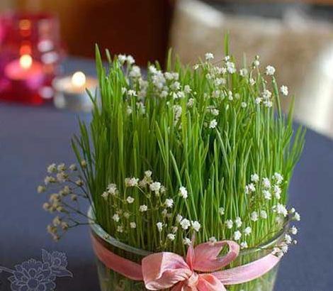 عکس پروفایل سبزه
