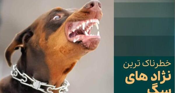 عکس نوشته ی دلتنگی عاشقانه