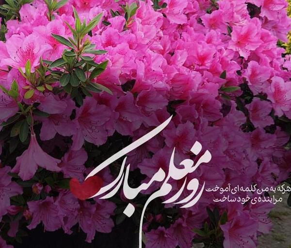 عکس تبریک روز معلم به خواهر