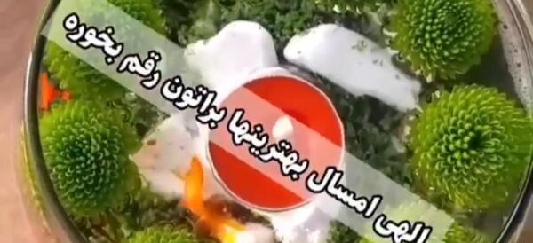 عکس سبزه شبدر