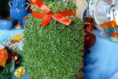 عکس سبزه شبدر