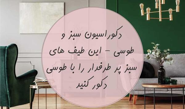 عکس مبل رنگ طوسی