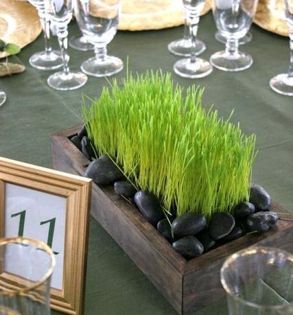 عکس سبزه آرایی