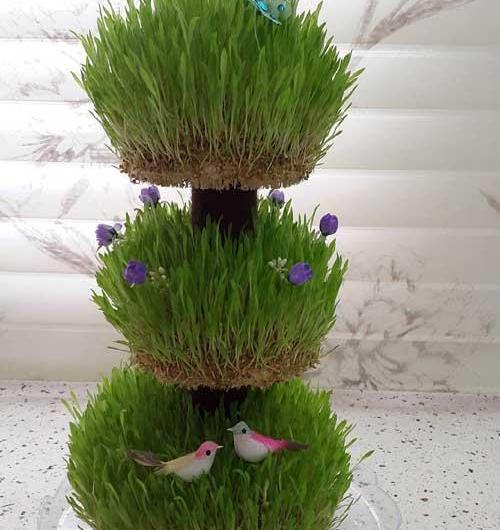 عکس سبزه آرایی