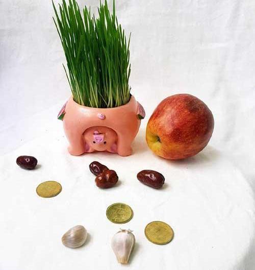 عکس سبزه آرایی