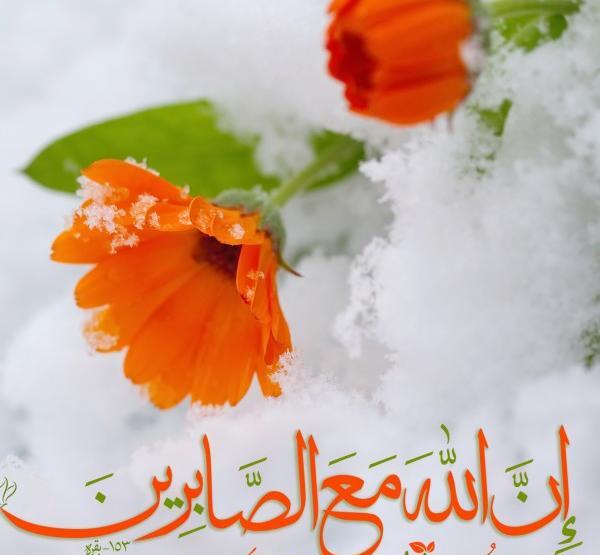 عکس نوشته خدا با صابران است