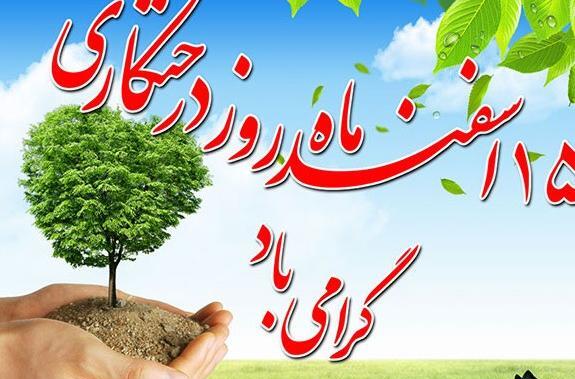 عکس گل تبریک روز معلم