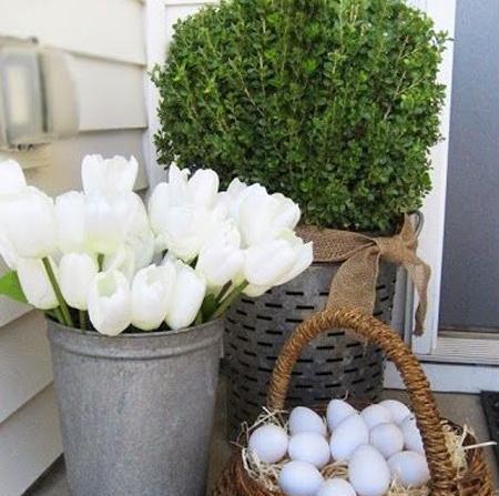 عکس سبزه شناور