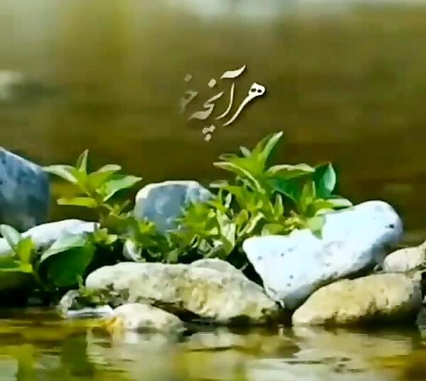 عکس نوشته قربون خدا برم که چوب همیشه دستشه