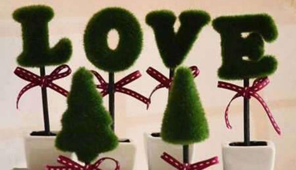 عکس سبزه ساده