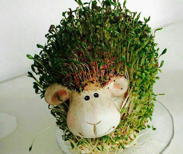 عکس سبزه ساده