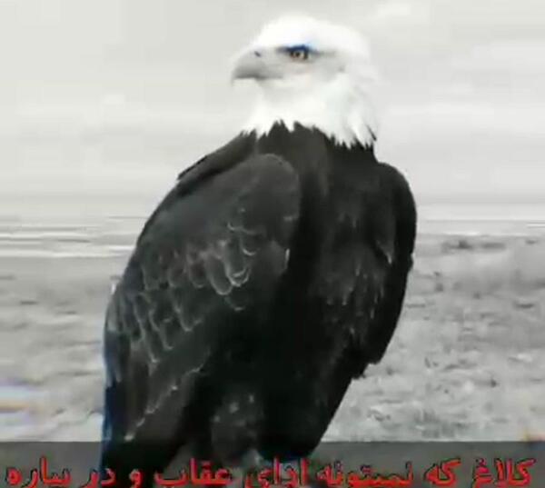 عکس نوشته لاتی خدا