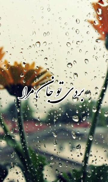 کلیپ عکس نوشته دلتنگی
