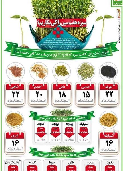 عکس سبزه جو