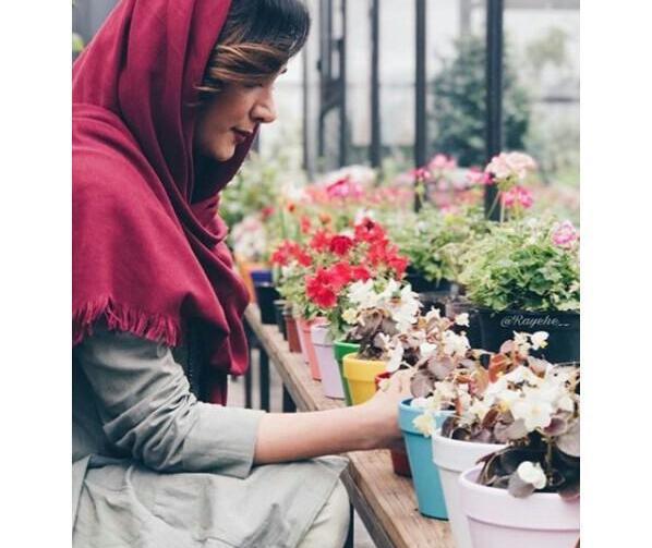 عکس پروفایل سبزه زار