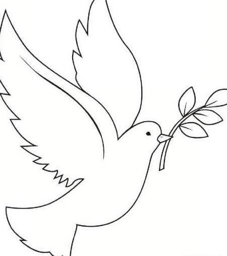 عکس نقاشی کبوتر