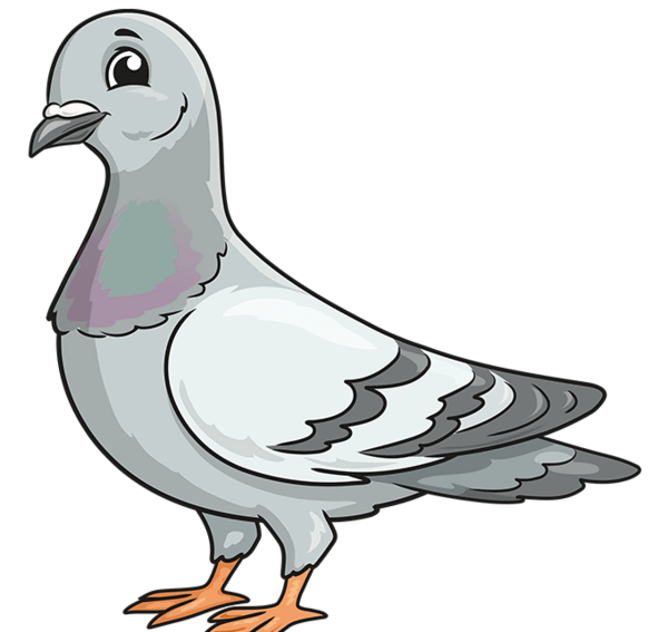 عکس نقاشی کبوتر