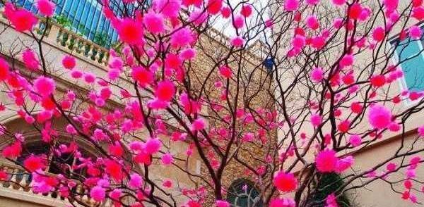عکس سبزه بهار نارنج