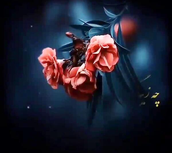 عکس نوشته ی زیبا در مورد زندگی