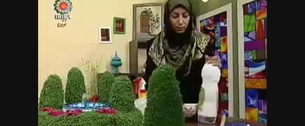 عکس سبزه شاهی روی کوزه