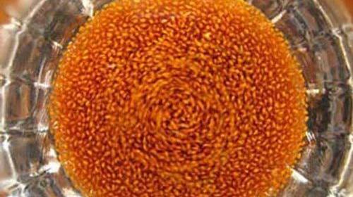 عکس سبزه شاهی روی کوزه