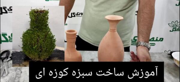 عکس سبزه شاهی روی کوزه