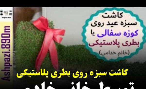عکس سبزه شاهی روی کوزه