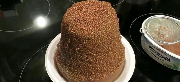 عکس سبزه شاهی روی کوزه