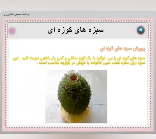 عکس سبزه شاهی روی کوزه
