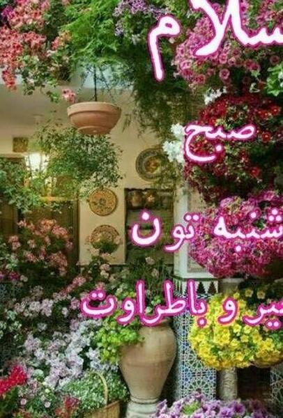 عکس نوشته صبح شنبه تون بخیر