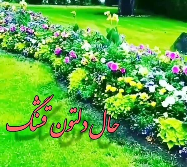 عکس نوشته صبح شنبه تون بخیر