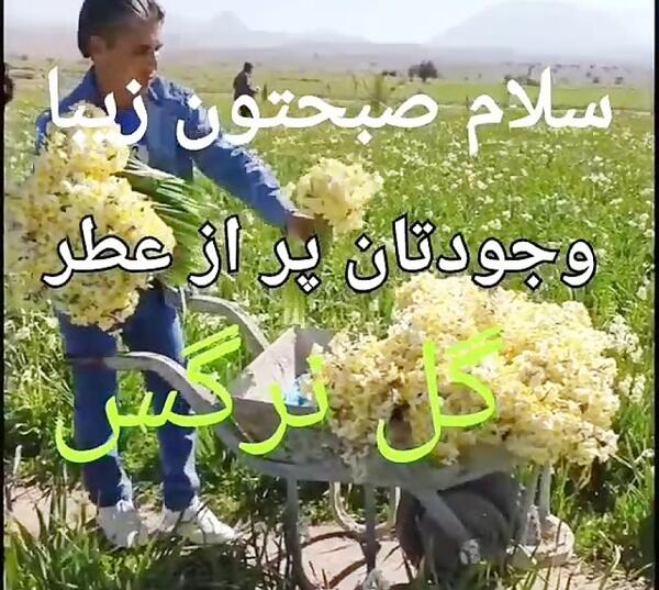 عکس نوشته صبح بخیر برفی