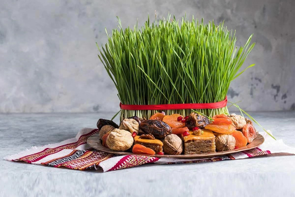 عکس سبزه کاج