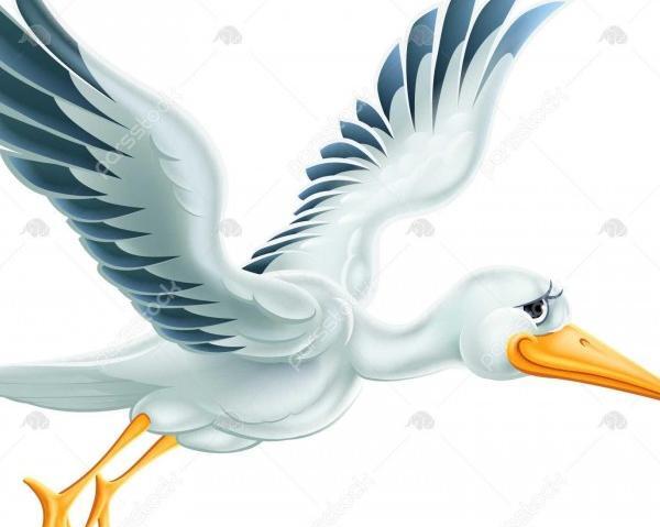 عکس نقاشی لک لک
