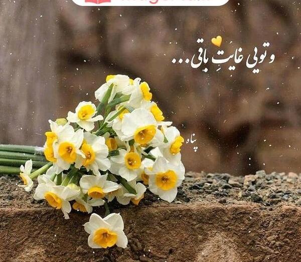 عکس نوشته گلایه عاشقانه