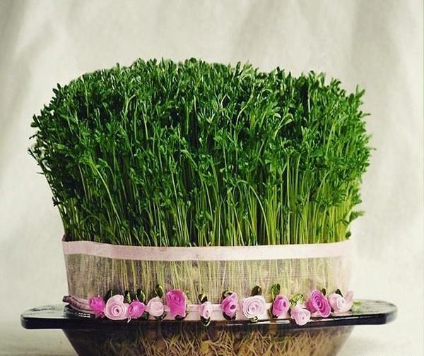 عکس نقاشی سبزه زار