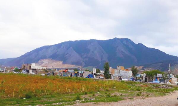 عکس نقاشی سبزه زار