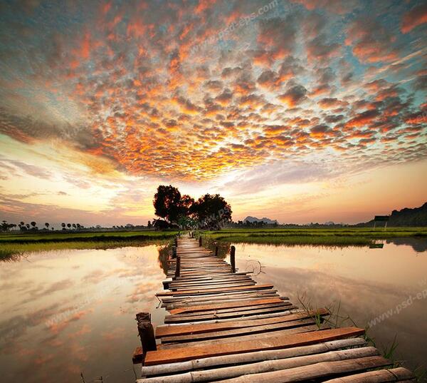عکس نقاشی سبزه زار