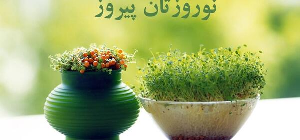 عکس نقاشی سبزه زار