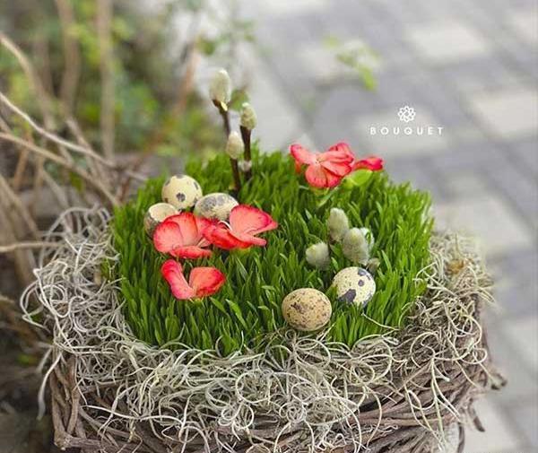عکس سبزه و درخت