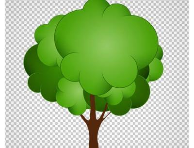 عکس سبزه و درخت