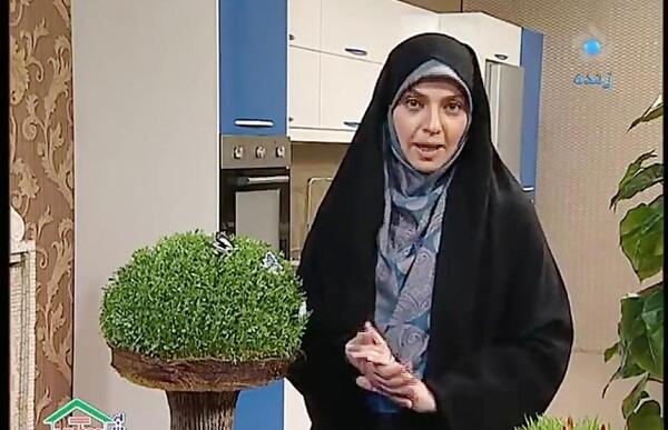 عکس سبزه و درخت