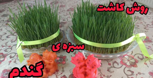 عکس سبزه ریحان