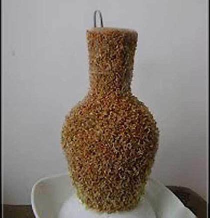 عکس سبزه روی کوزه