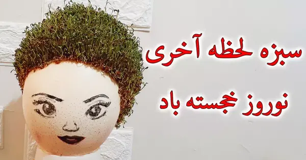 عکس سبزه روی کوزه