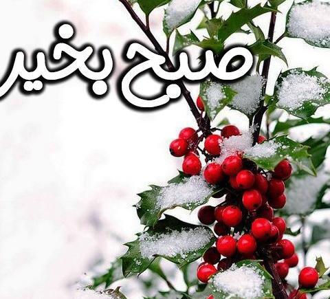 عکس نوشته صبح بخیر زمستانی عاشقانه