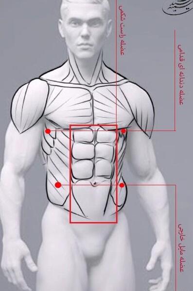 عکس طرح مرد عنکبوتی