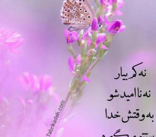 عکس نوشته وقتی خدا هواتو داره