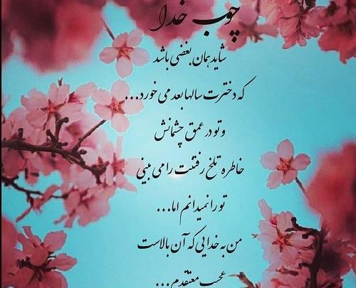 عکس نوشته چوب خدا صدا دارد